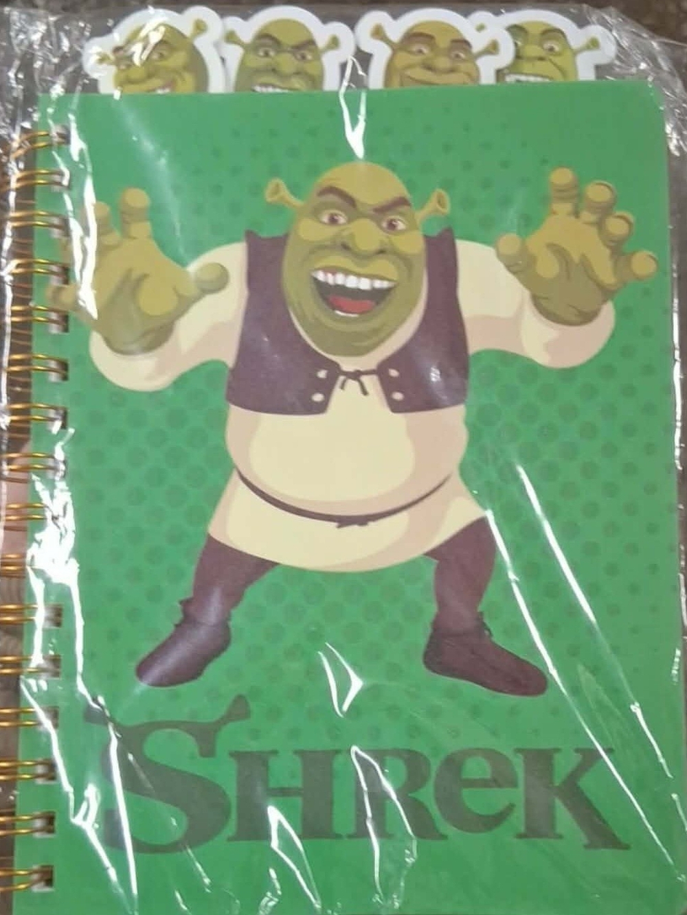 New Shrek Tabbed Journal Book